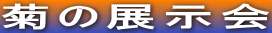 e̓W